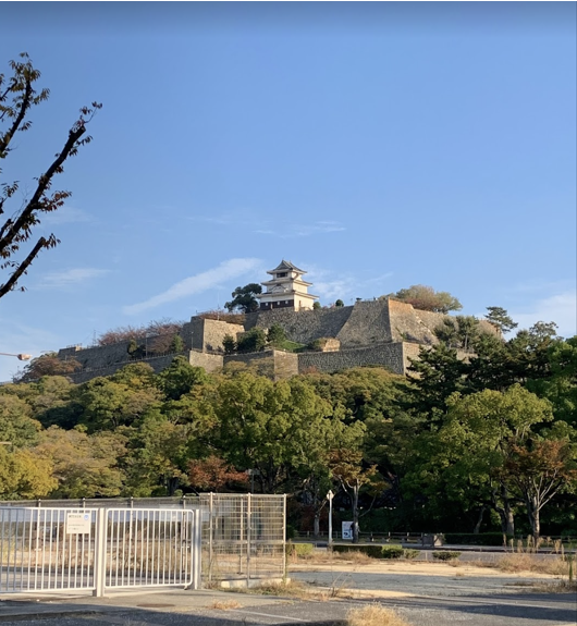 丸亀城（遠目から）
